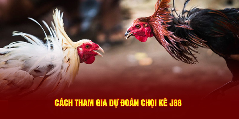 Cách tham gia dự đoán chọi kê J88